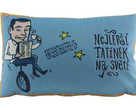 CUSHION1